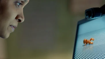 AI Drama 'Humans in the Loop' Gets Netflix Deal, U.S. Theatrical Run