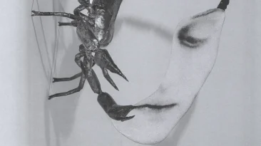 Tortoise: Touch Album Review | Pitchfork