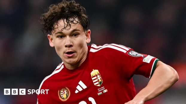 Hungary midfielder Alex Toth