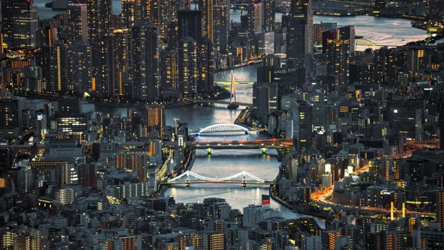 37 Best Hotels in Tokyo for Ryokan Stays and High-Rise Views