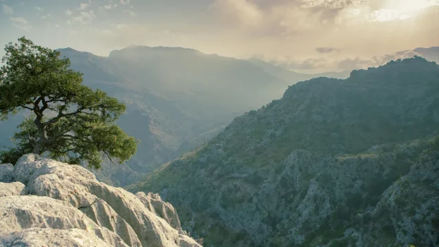 Condé Nast Traveler