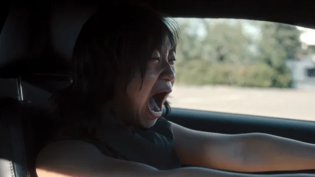 A Vigilante Lawyer Investigates Her Own Hate Crime