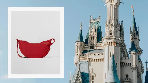 9 Best Bags for Disney, According to a Theme Park Reporter