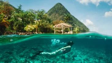9 Must-Visit Hotels for World-Class Snorkeling