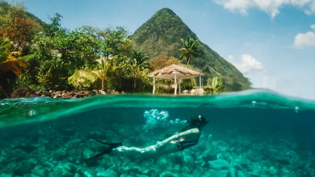 9 Must-Visit Hotels for World-Class Snorkeling
