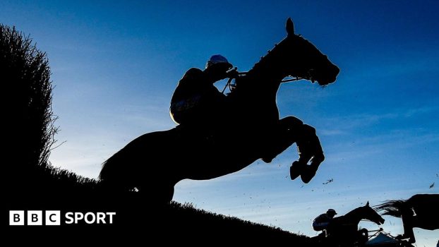 Silhouette of horses at Punchestown Racecourse