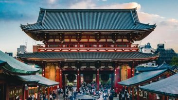 The 8 Best Airbnb Experiences in Tokyo