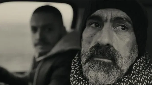 'The Ceremony' Jack King & Hollie Bryan Q&A