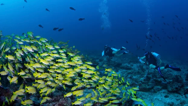 Condé Nast Traveler