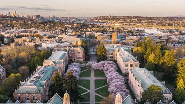 7 Places to See Cherry Blossoms in the US, From Seattle to Brooklyn