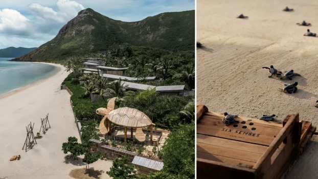 7 Resorts Where You Can Help Baby Turtles Reach the Sea