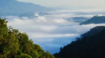 Condé Nast Traveler