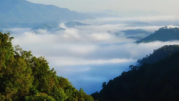 Condé Nast Traveler