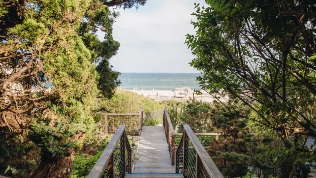 Hamptons Itinerary: A Bittersweet Homecoming on a Wellness Weekend With My Son