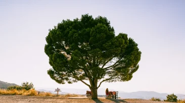 How to Decide Where to Stay in Crete, the Largest Greek Island