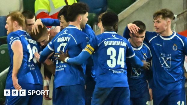 Dungannon celebrating