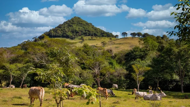 Paraguay’s New Golden Visa Is a $150,000 Fast Track to Permanent Residency