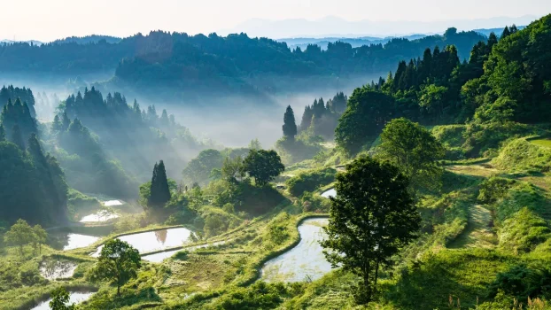 What to Do in Niigata, Japan’s Haven for Skiing, Seafood, and Sake