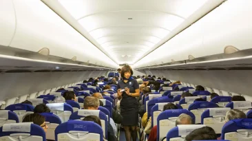 Why Do Flight Attendants Sit on Their Hands?