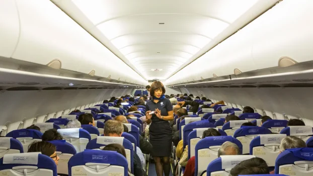Why Do Flight Attendants Sit on Their Hands?
