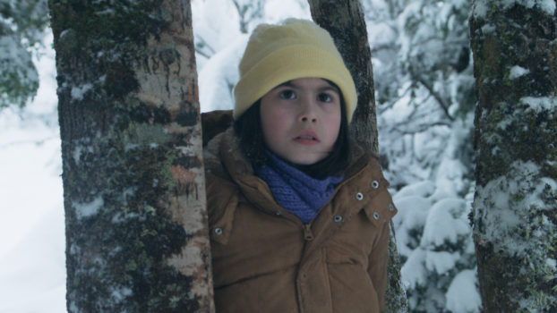 A Missing-Girl Mystery as Political Allegory