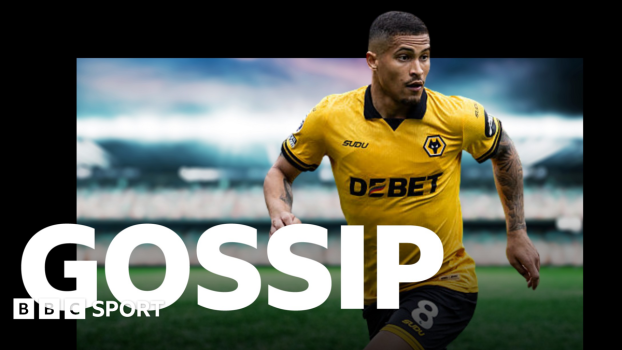 Wolves midfielder Joao Gomes