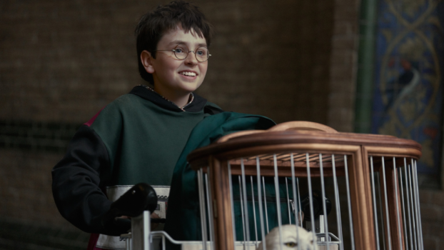 'Harry Potter' Agent Signals Support for Paramount-Warner Bros Merger