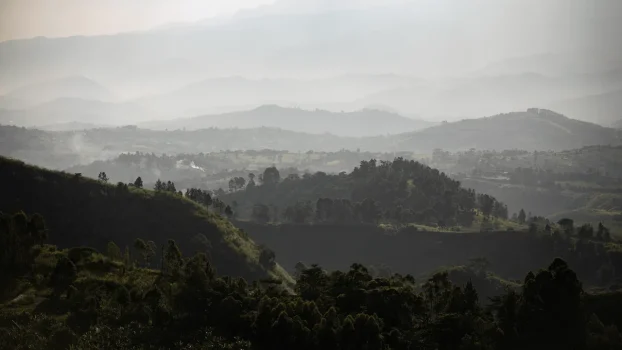 In Uganda, The Gorillas Are Only Part of The Appeal