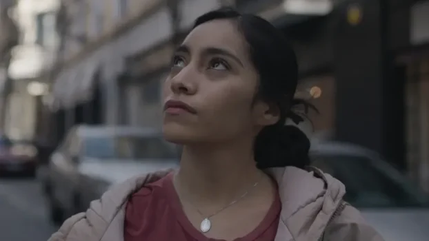 Netflix Buys Diego Luna's Cannes Film 'Ashes' in Latin America