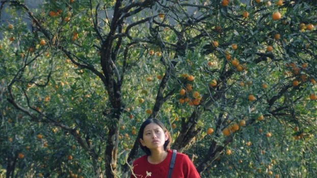 Payal Kapadia, Zoya Akhtar Back 'Shape of Momo' India Release