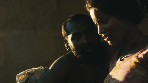 Rotterdam Title 'Roid' Sold to Australia and New Zealand