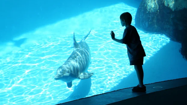 SeaWorld Promo Code & Discount Tickets: Save Up to 50% in May 2026